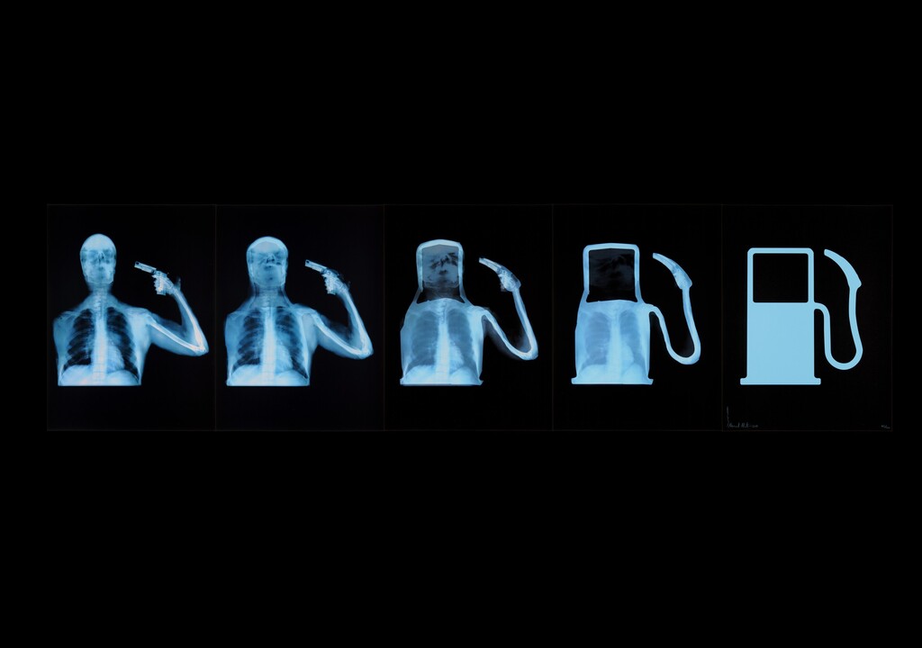 Evolution of Man