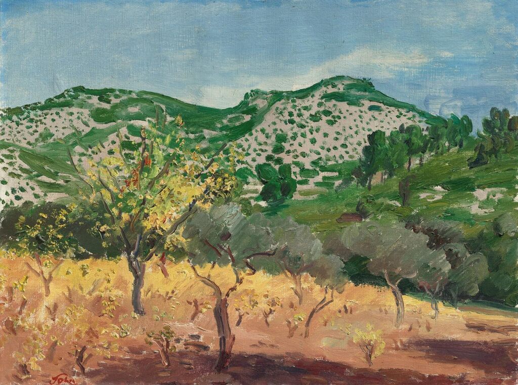Olive Grove, Provence