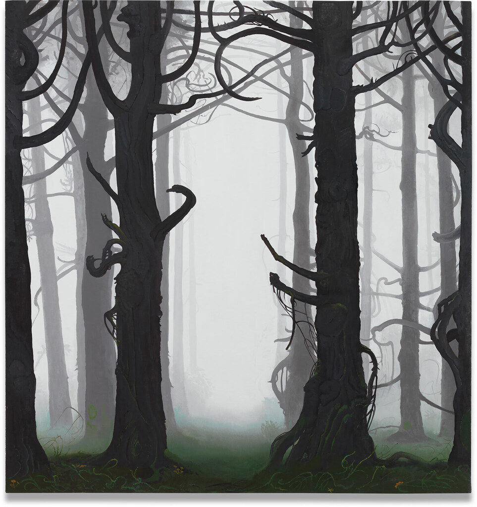 Spruce Forest