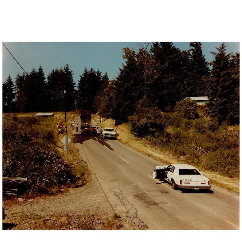 'Exhausted Renegade Elephant, Woodland, Washington, June 1979', 1979