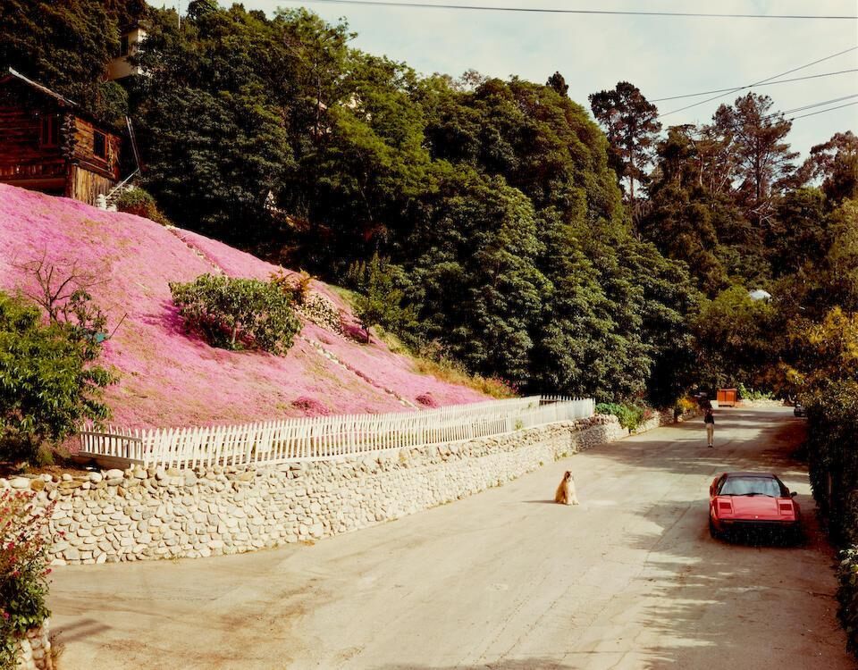 Rustic Canyon, Santa Monica, California, May, 1979, 1979