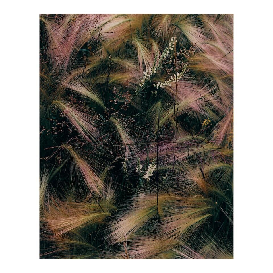 Portfolio One: The Seasons