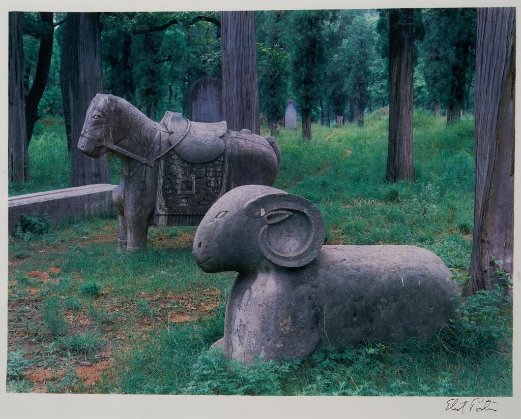 The Kong Forest, from the Portfolio China, 1980