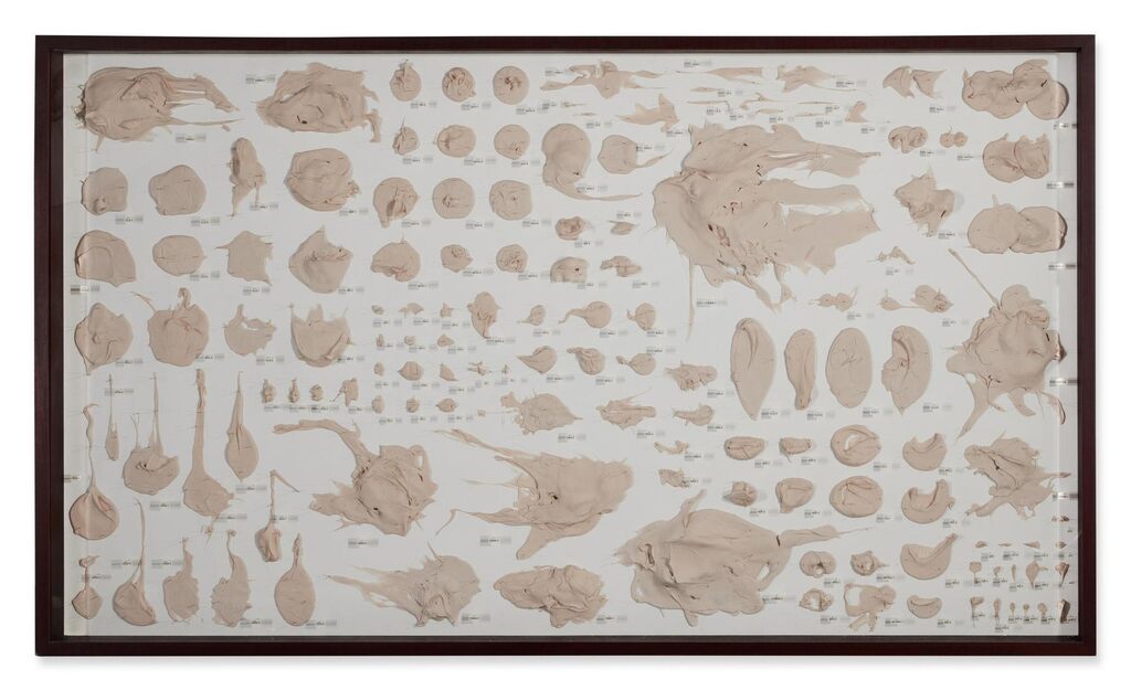 Specimen Case no. 6