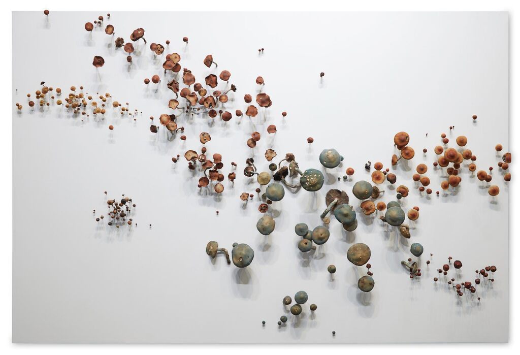 Untitled (Mushrooms)