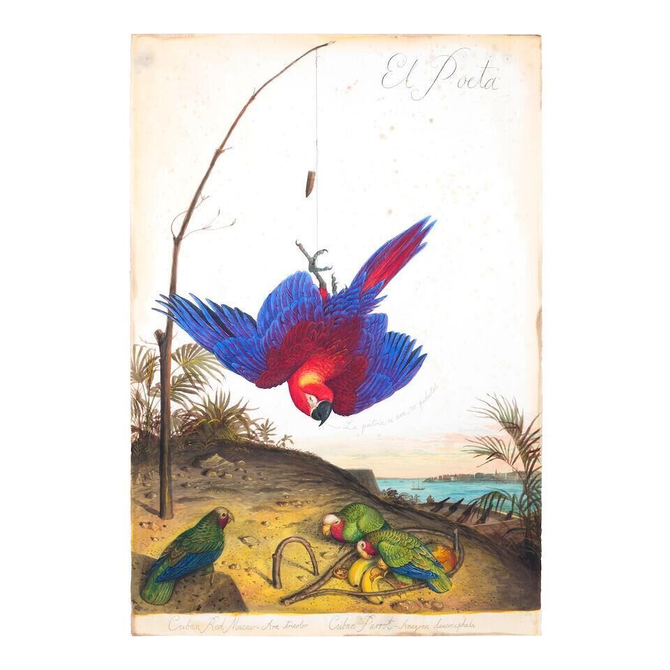 El Poeta