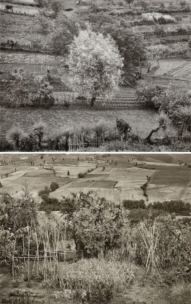 Garden, Siena, Italy; Poggibonzi, Italy