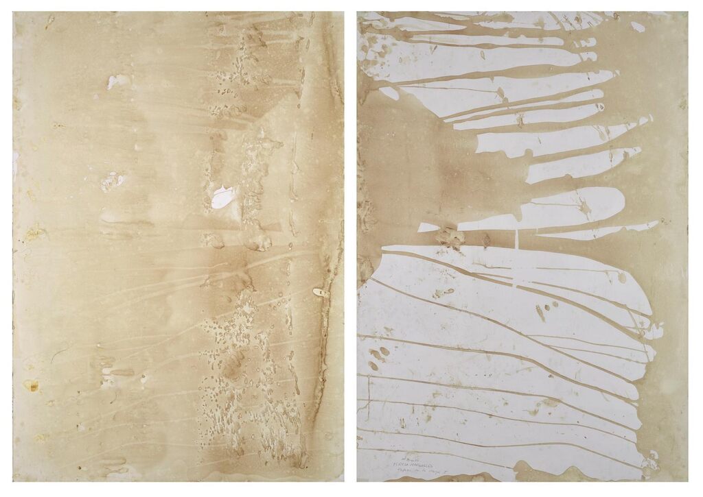 Papel de la morgue I