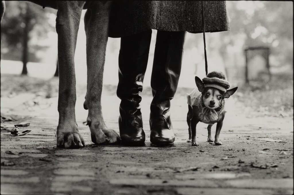 'New York City' (Felix, Gladys and Rover)