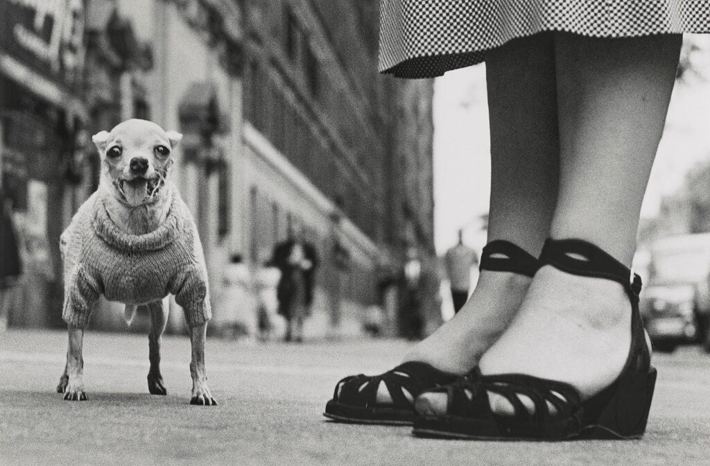 New York City, (Chihuahua), 1946