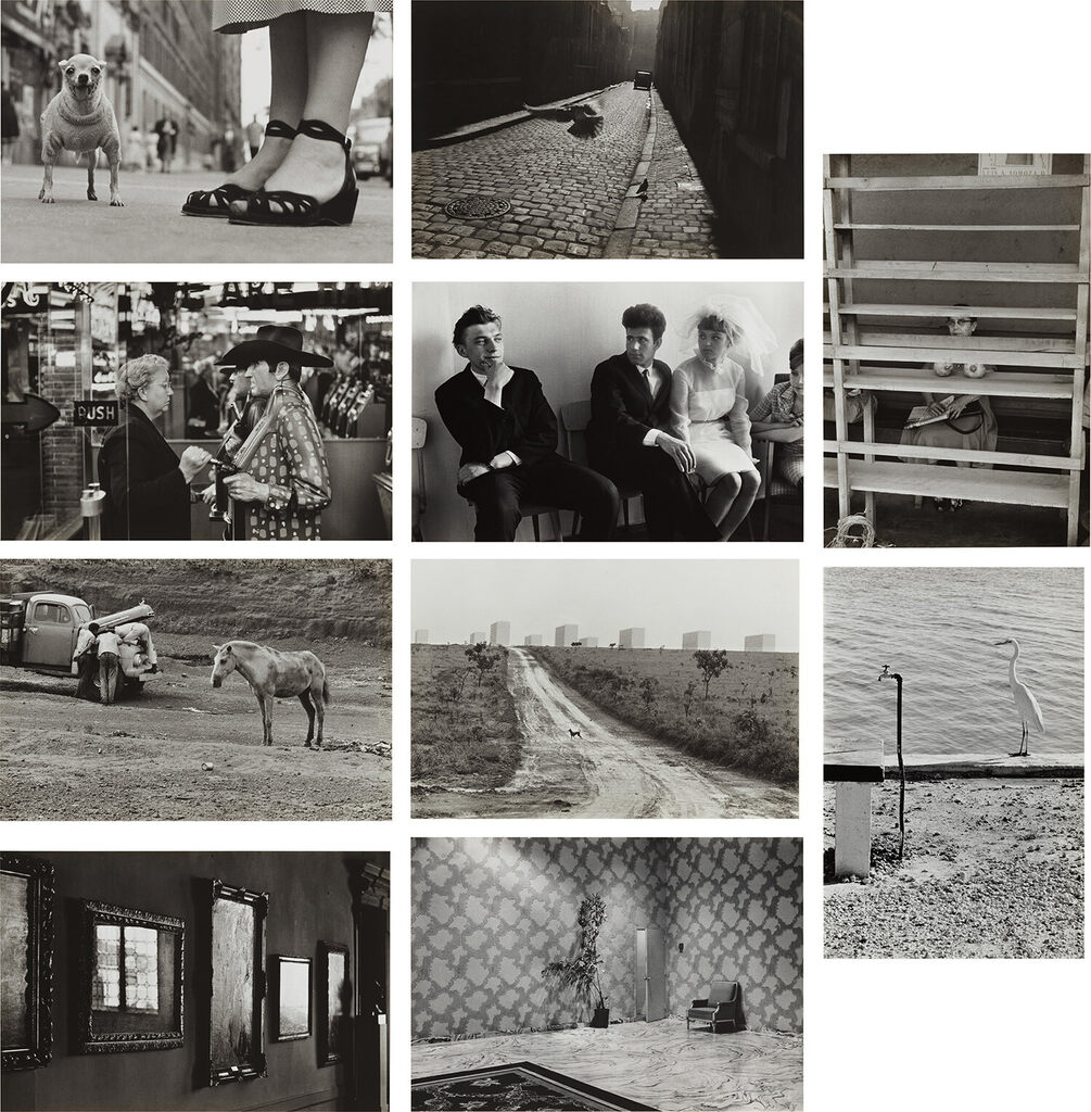 A Portfolio of Ten Photographs