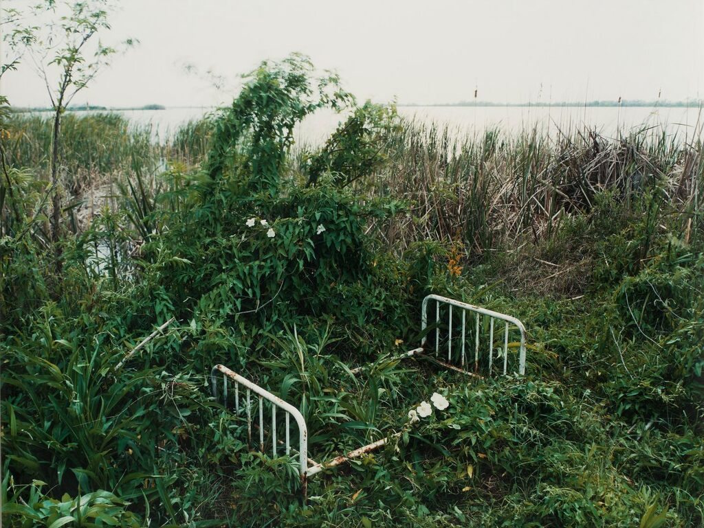 Venice, Louisiana (from 'Sleeping by the Mississippi')