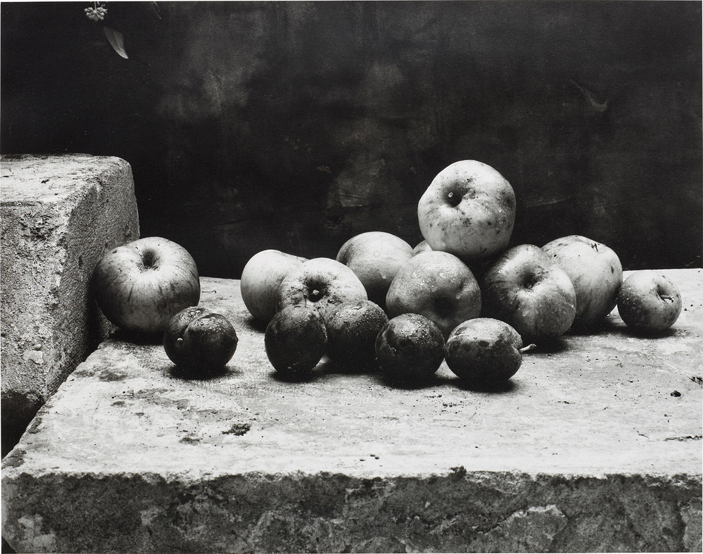 Still Life