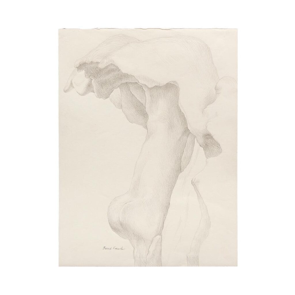 Sans titre (Anthropomorphic Landscapes)