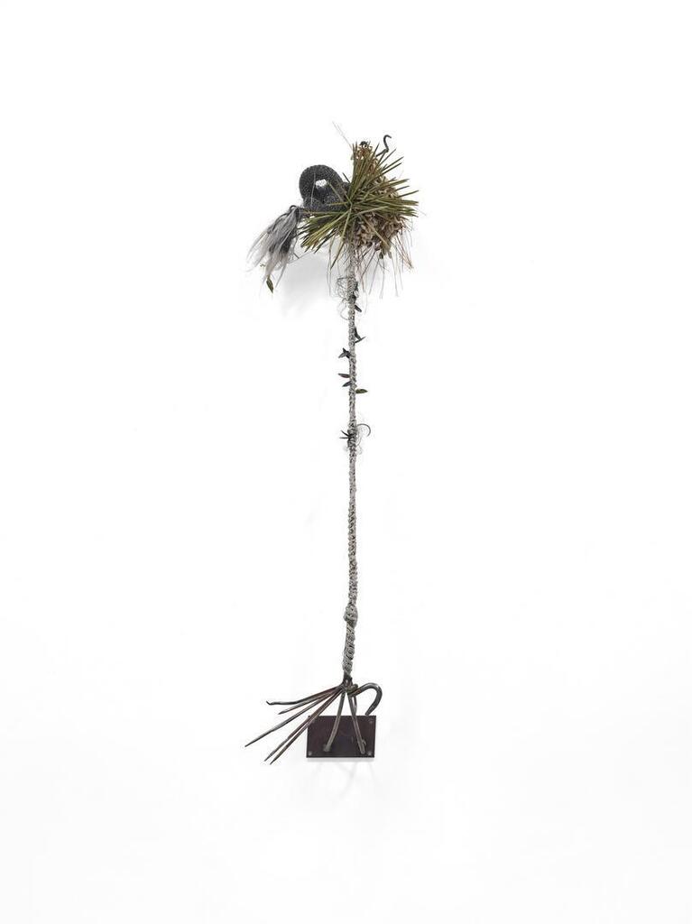 Feathery fountain horn and furty finger nail