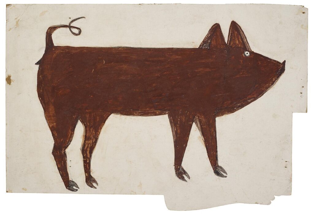Brown Pig