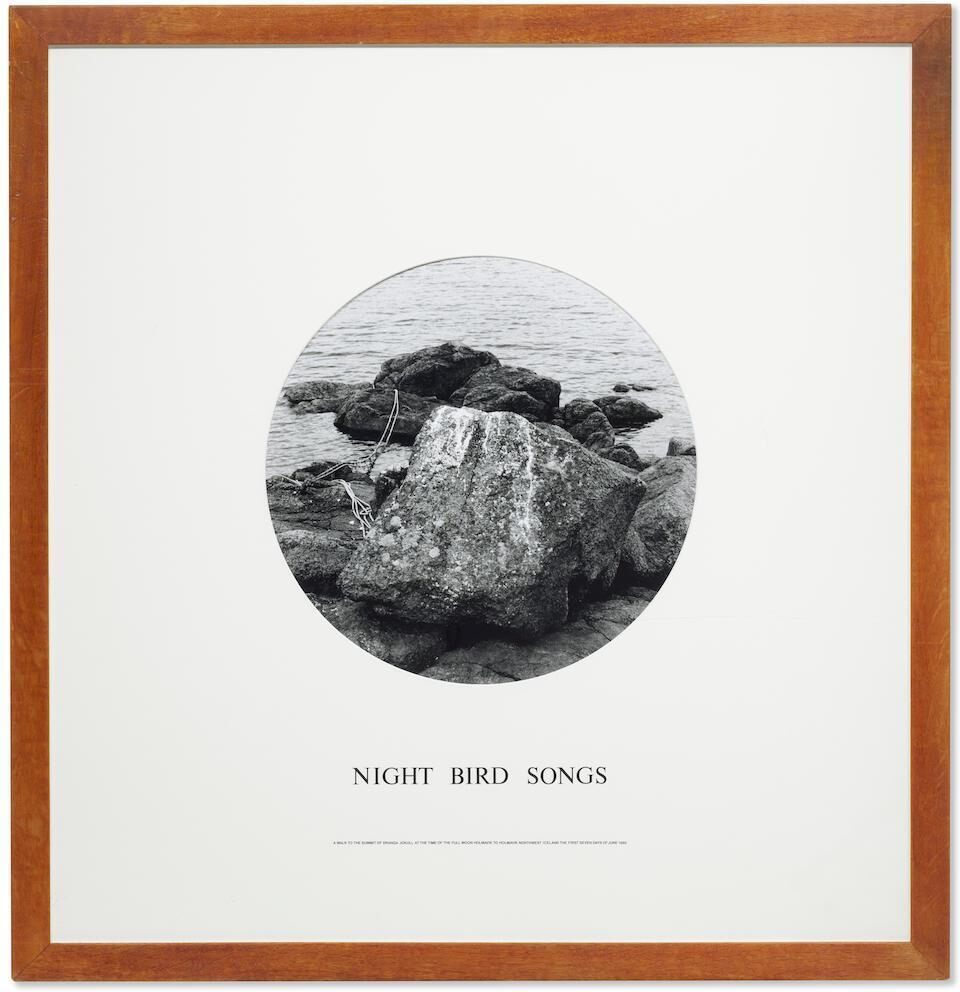 Night Bird Songs A walk to the summit of Dranga Jokull at the time of the full moon Holmavik to Holmavik northwest iceland the first seven days of June