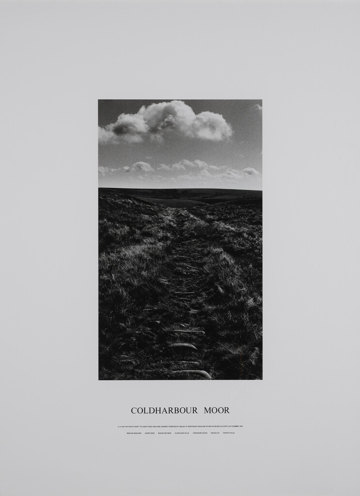 Coldharbour Moor