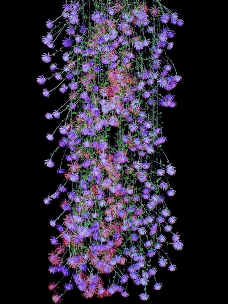 Rapunzel 8