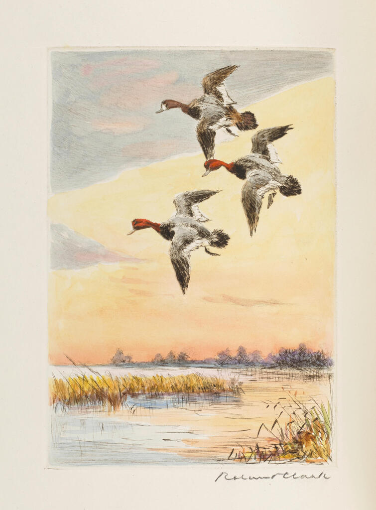 CLARK, ROLAND