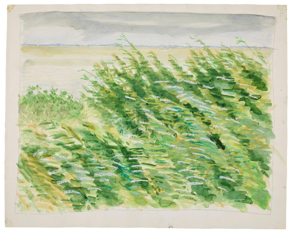 Untitled (Beach Grass)