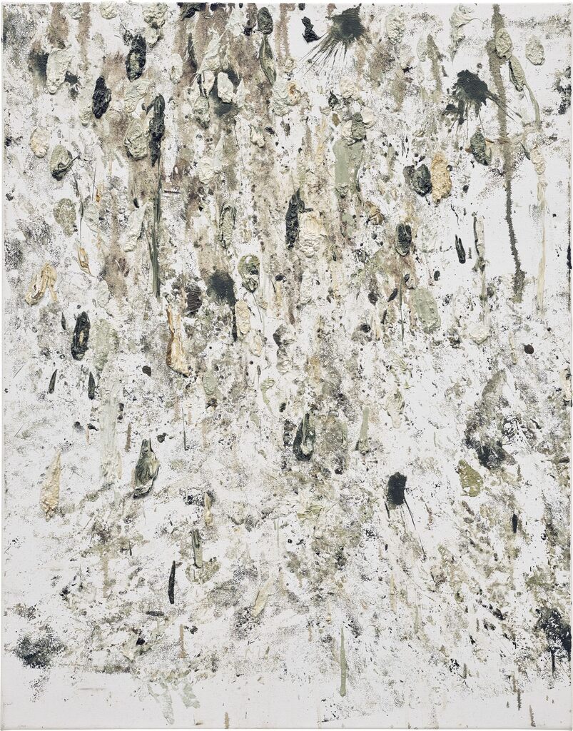 Untitled (Bird Shit)