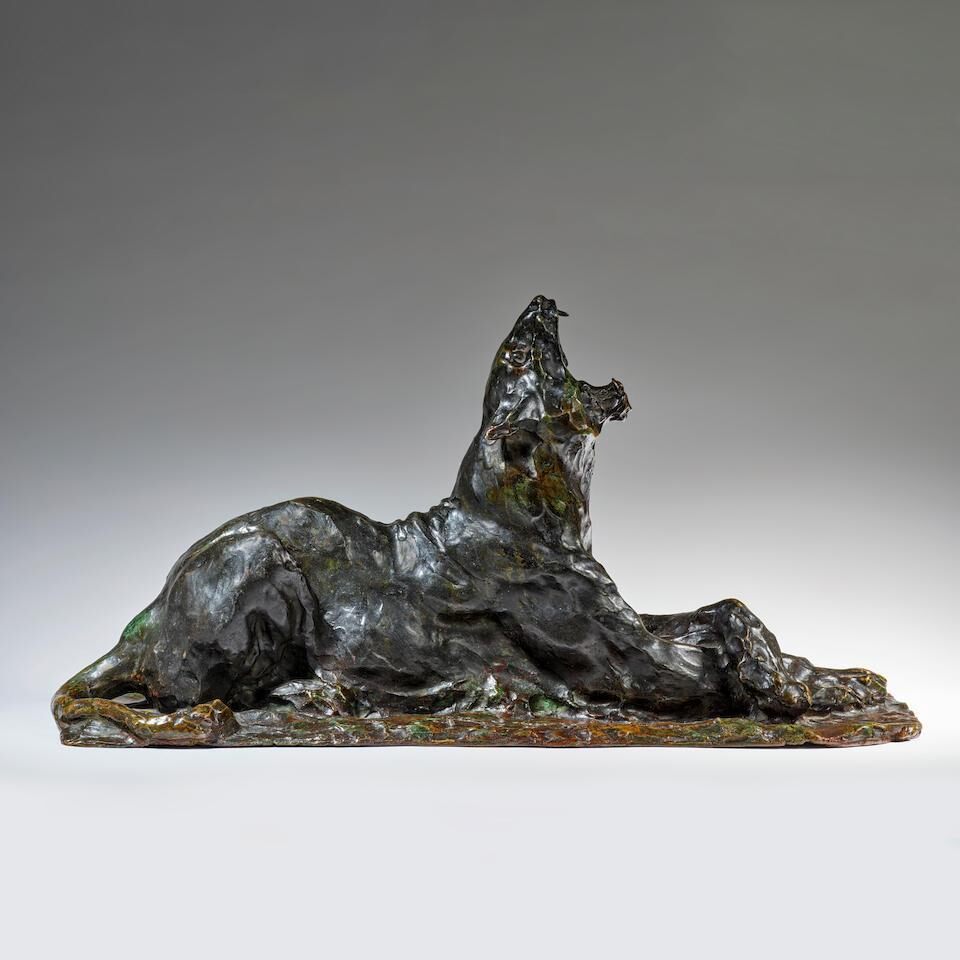 Lionne couchée baillant