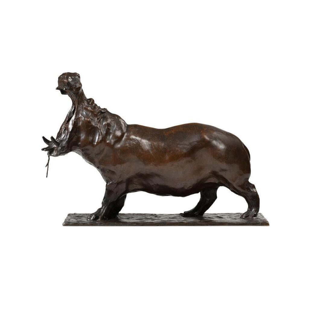 Yawning hippopotamus