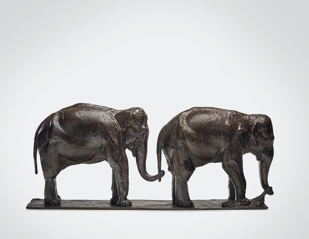 Deux éléphants, l'un derrière l'autre