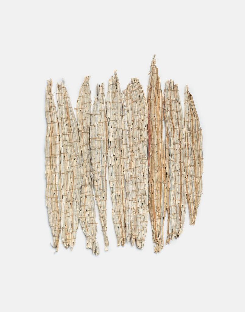Dead Wood