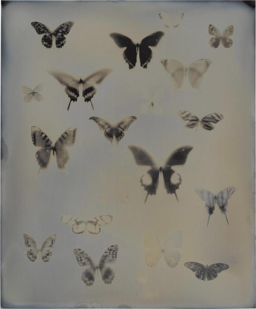 Untitled (from My Ghost)