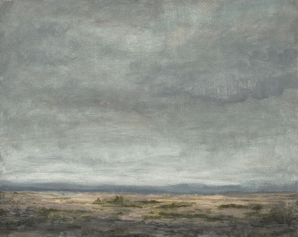 Untitled (from the Deserto-Modelo series)