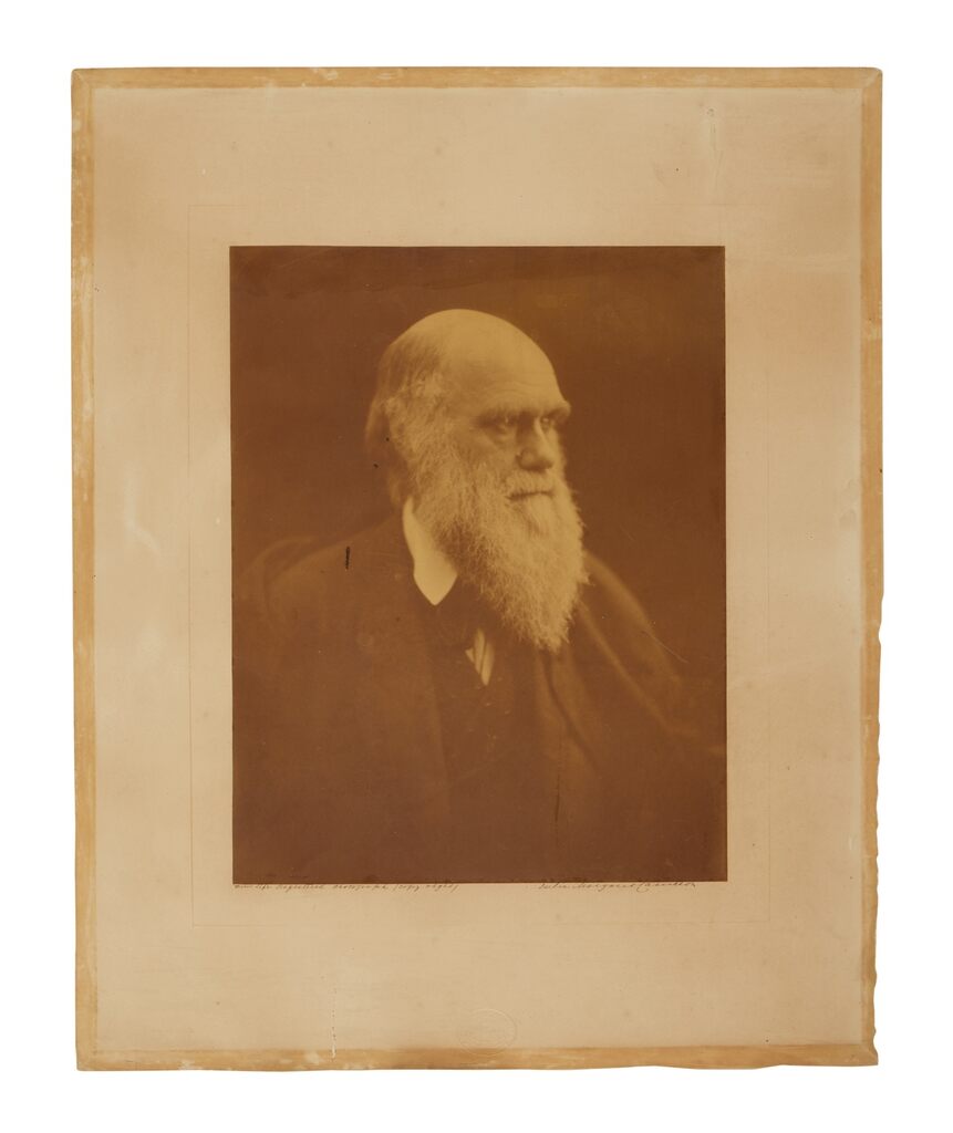 The rarest of Cameron’s portraits of Darwin