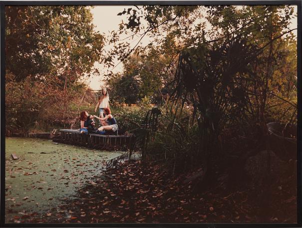 Swamp