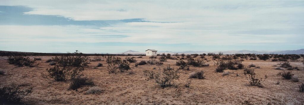 Untitled (Panoramic View with White House)