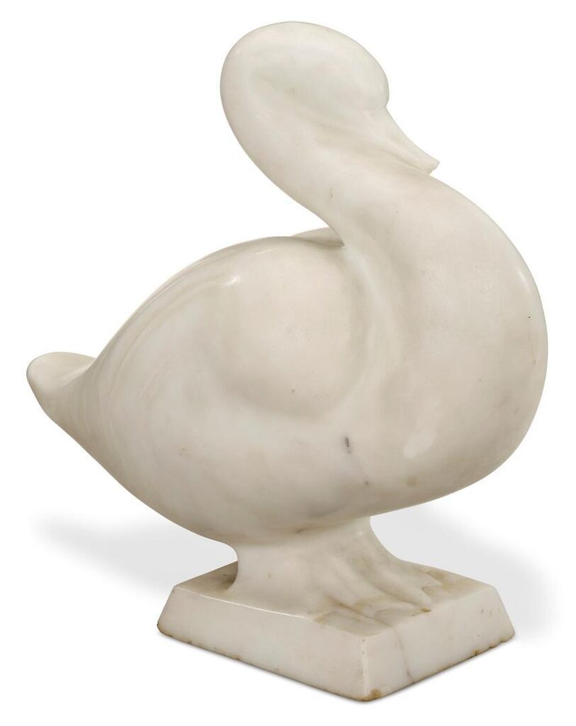 Duck
