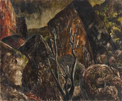 Paysage (Gorges du Tarn)