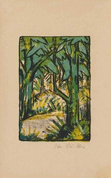 Waldlandschaft