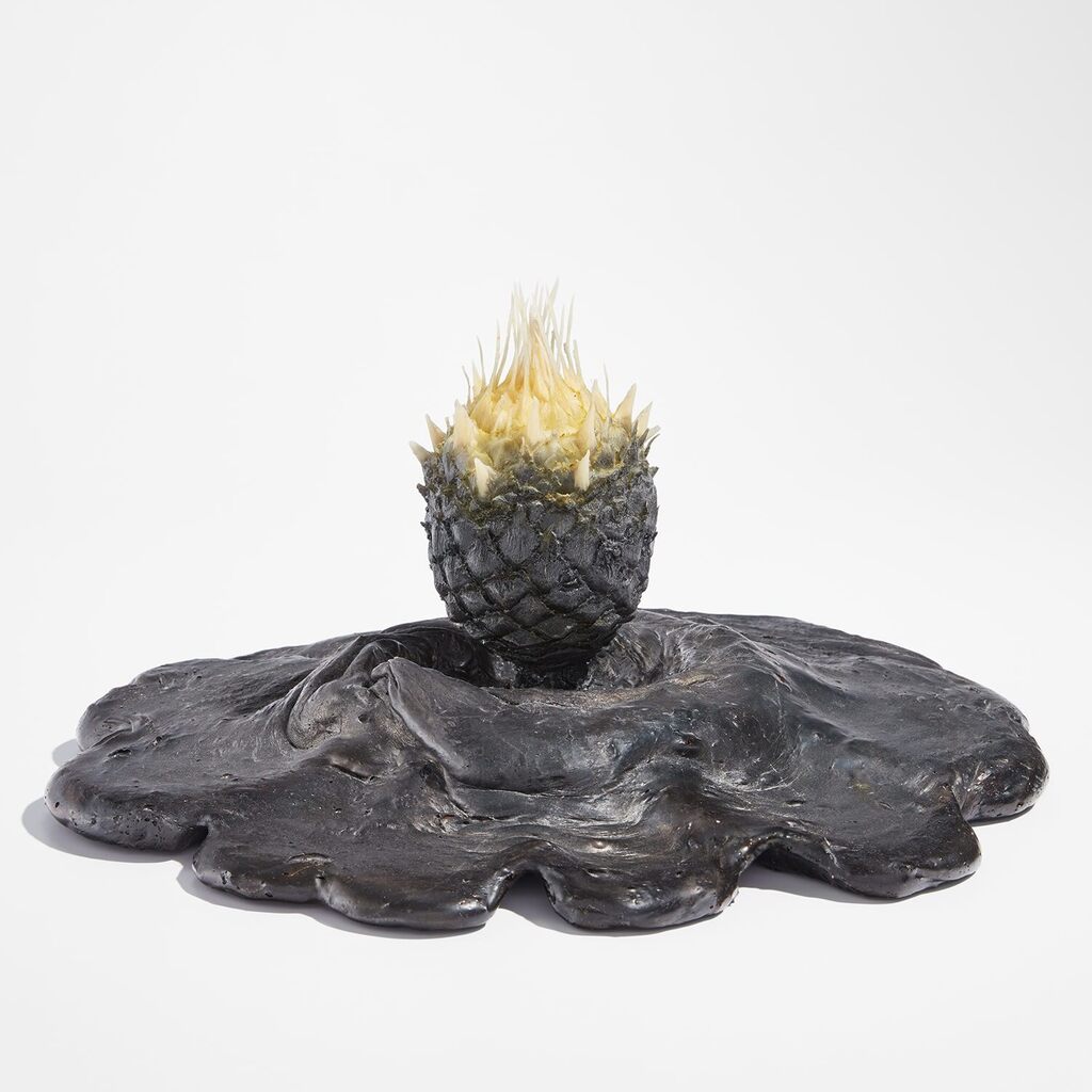 Cycas revoluta bulbil