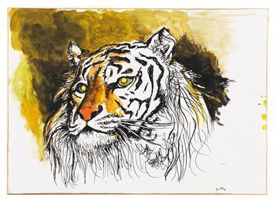 Tigre