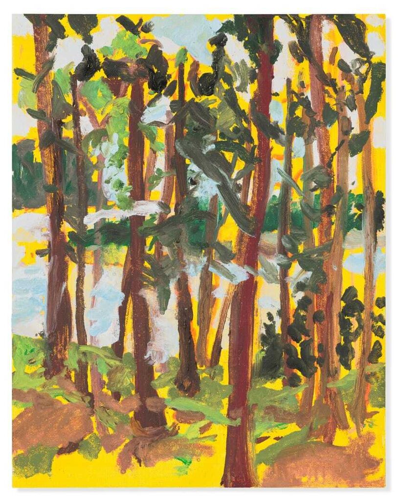 The Light in the Trees