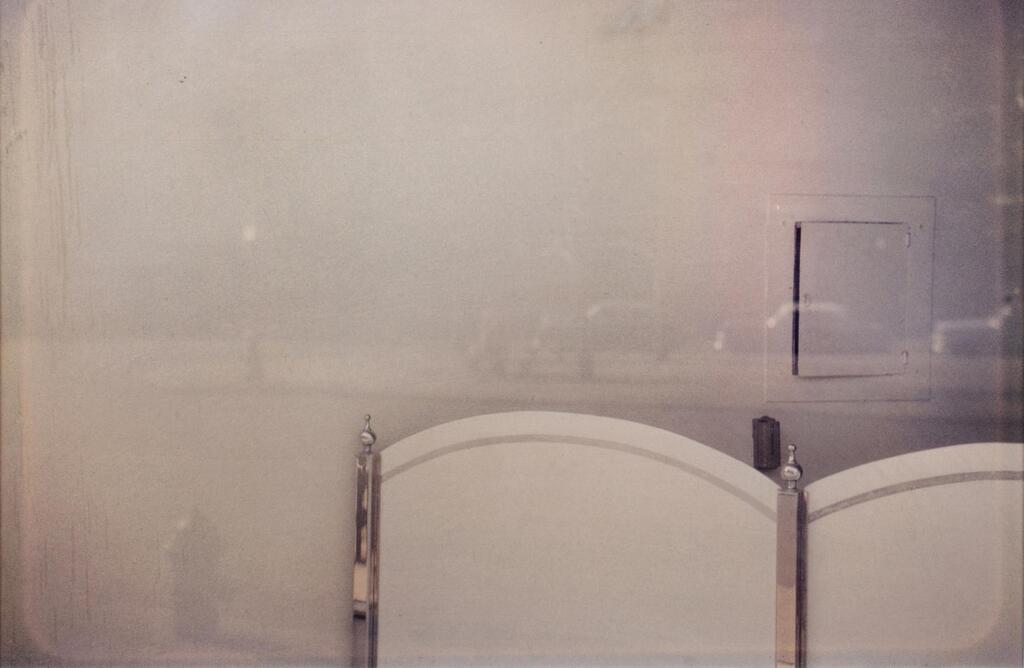 White, Brooklyn