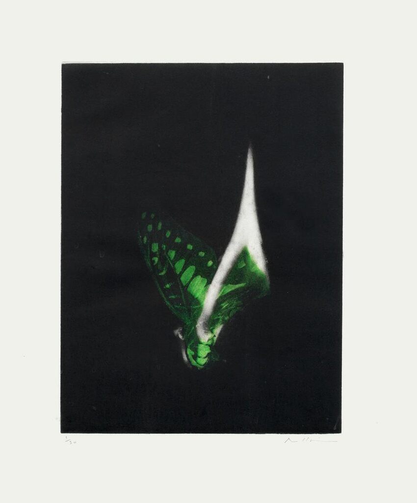 Burning Butterfly