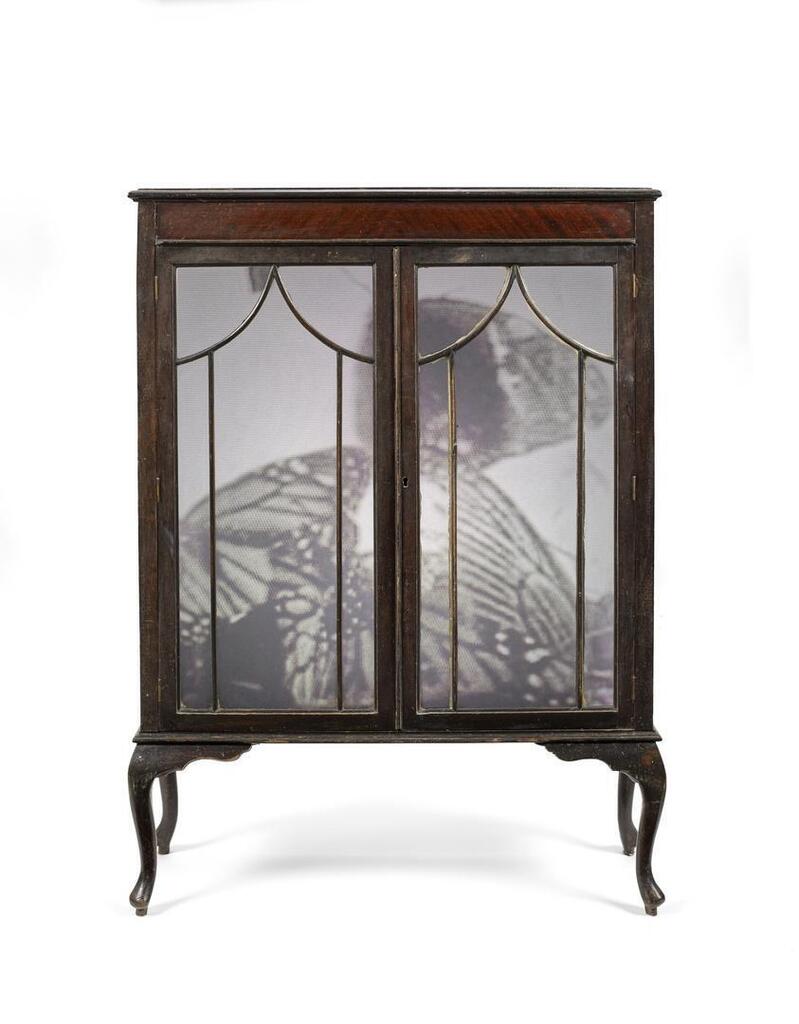Cabinet Butterfly