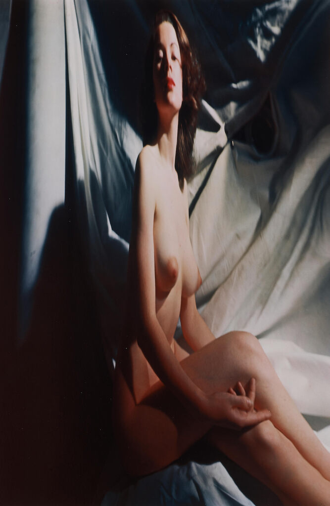 Nude Distortion