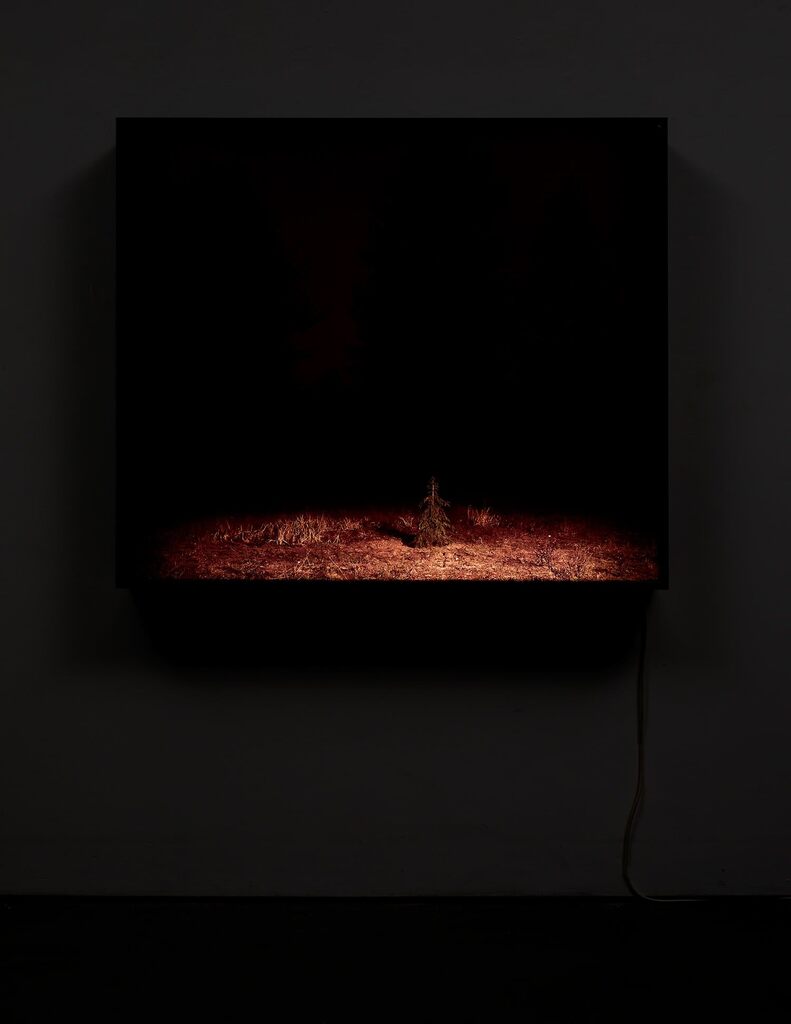 Nightscape Lightbox (Fourth)