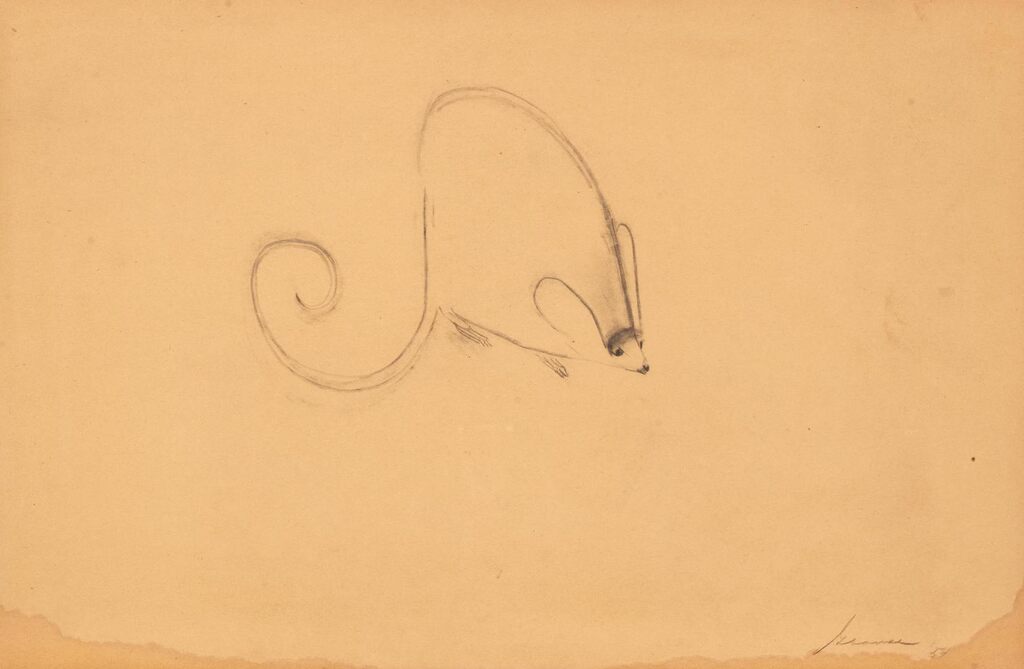 Mouse; Beetle; Waterfowl