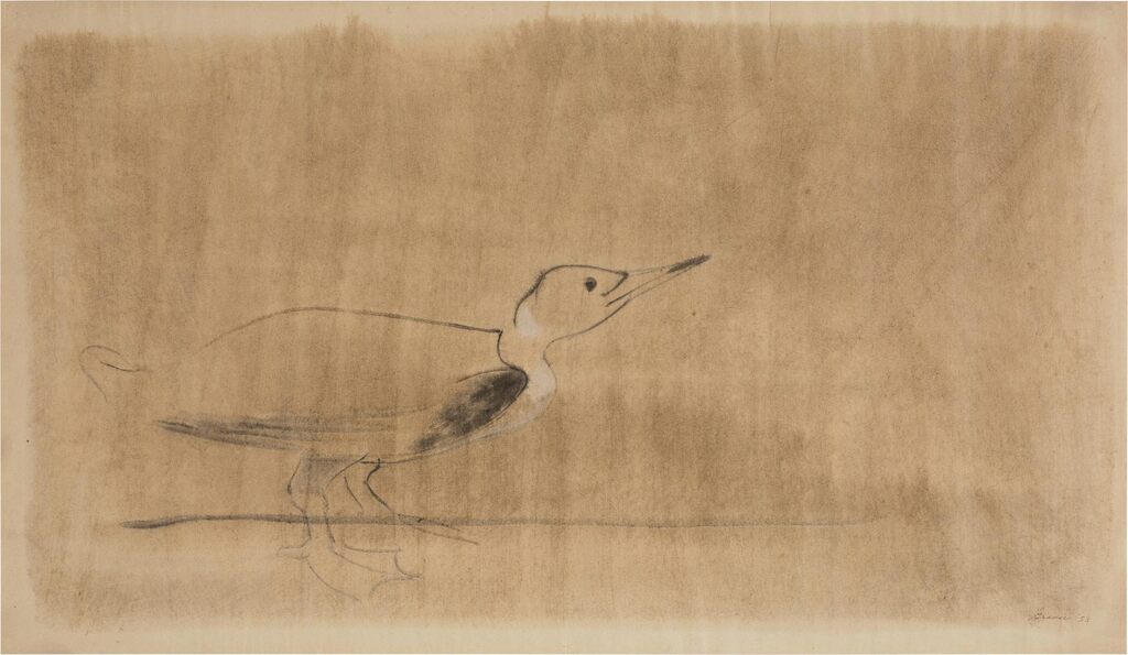 Loon on a Delta