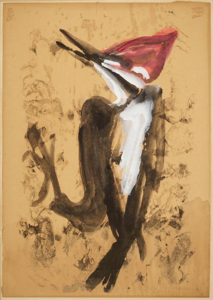 Woodpecker