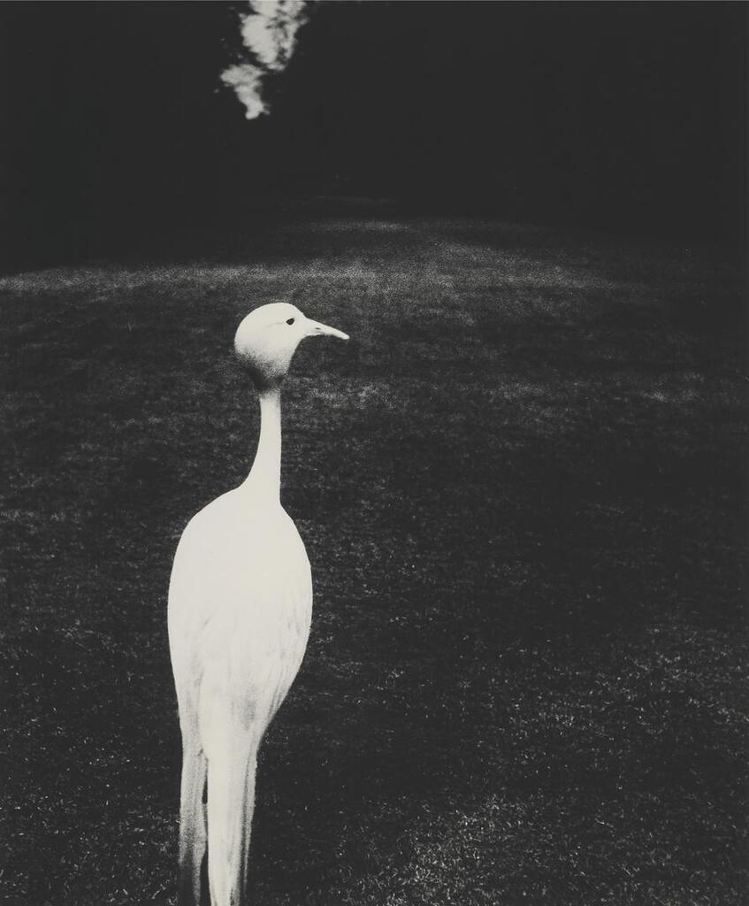 Early Evening, Kew Gardens, 1932